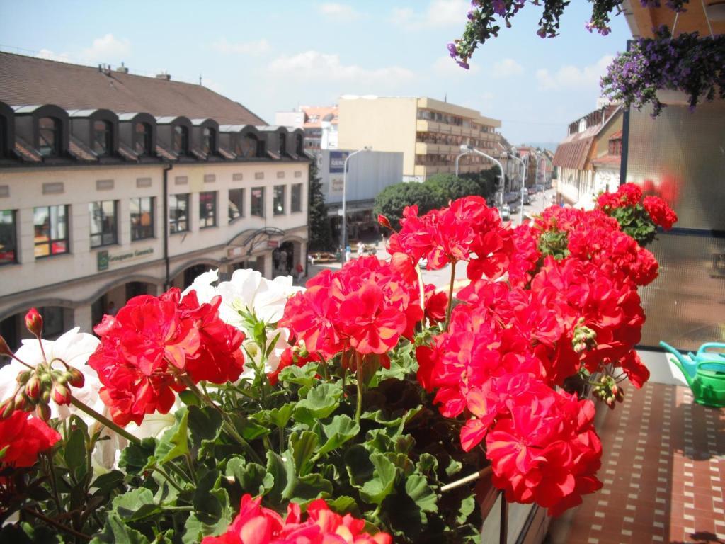 Tavas Barlang Apartman Tapolca Dış mekan fotoğraf